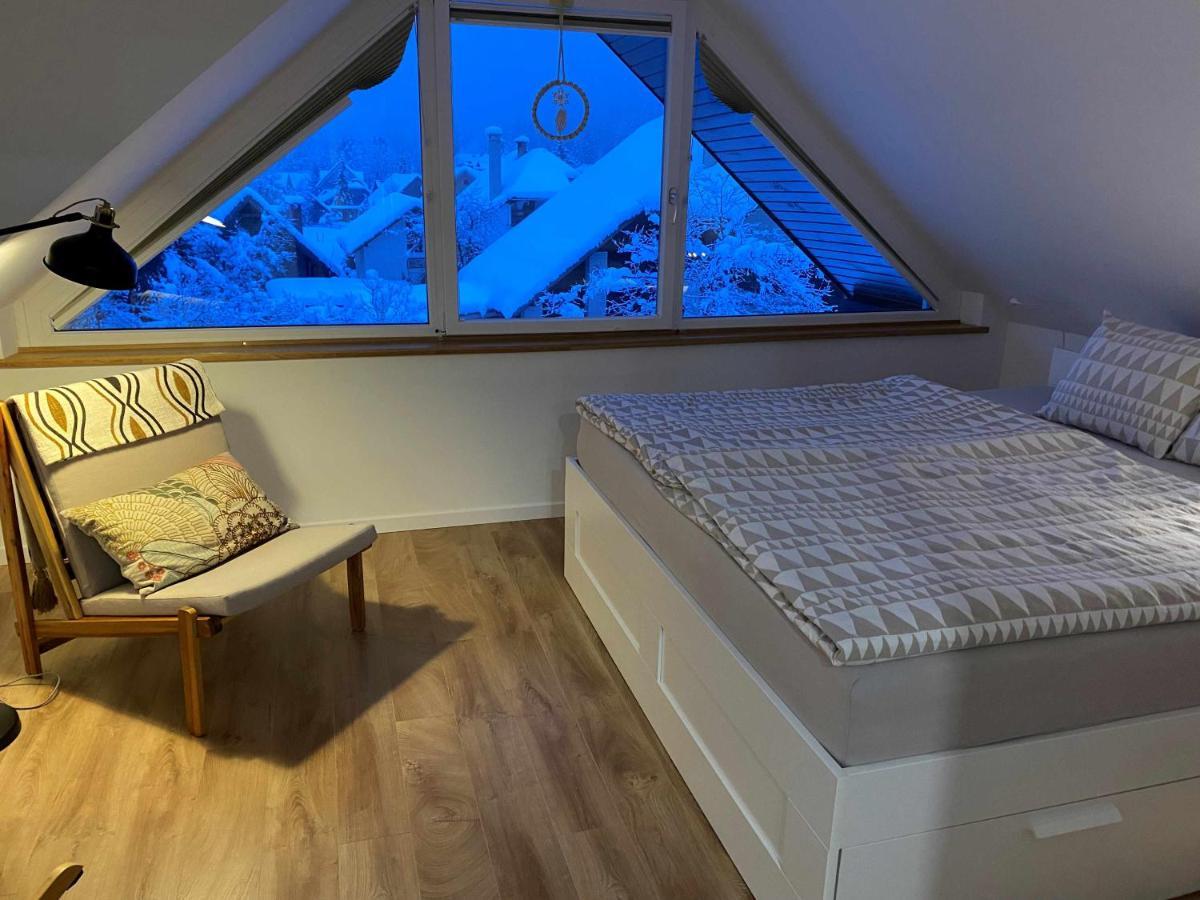 קרנייסקה גורה Apartment Zidana Marela - Attic With A View מראה חיצוני תמונה